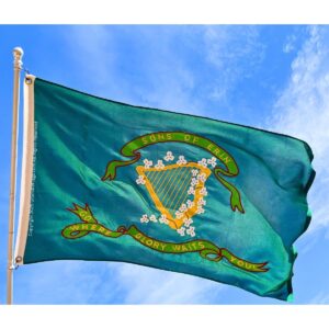 sons of erin csa irish flag, irish confederate flag nylon embroidered 3 x 5 ft. (2ply available)