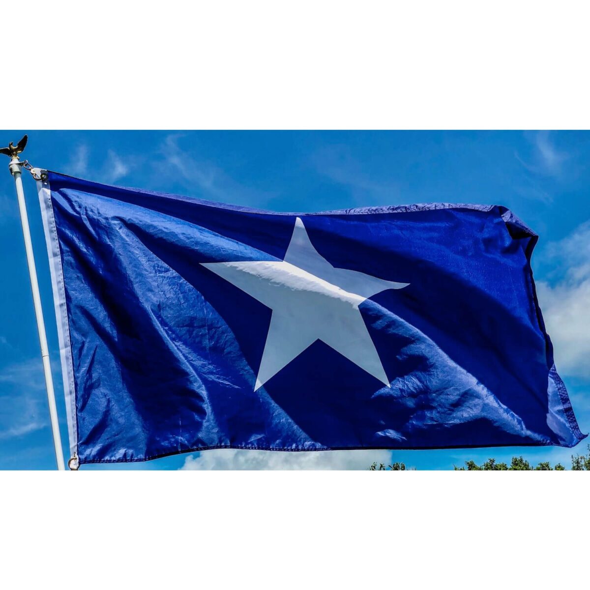 Blue flag featuring a prominent white star, ideal for patriotic displays or events. This affordable flag is perfect for anyone looking to buy online without compromising on quality. Get the best deals on flags at UltimateFlags.com.