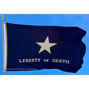 troutman flag liberty or death flags tactical black sewn double nylon embroidered 3' x 5'