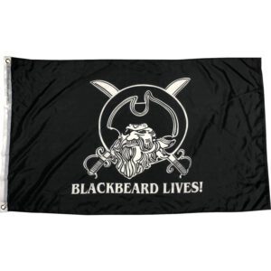 buy blackbeard flag