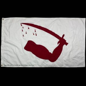 This image features a striking flag design showcasing a muscular arm wielding a sword, symbolizing strength and resilience. Perfect for those seeking unique and affordable flags, this is one of the best options to buy online. Discover more at UltimateFlags.com.