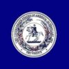 Deo Vindice Flags