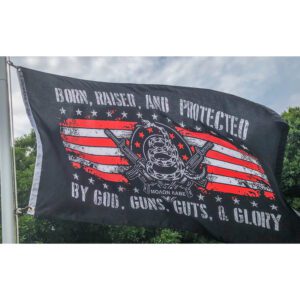 born raised and protected by god guns guts and glory flags gadsden snake