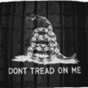 Don’t Tread on Me Black Gadsden Flag 3 X 5 ft. Standard