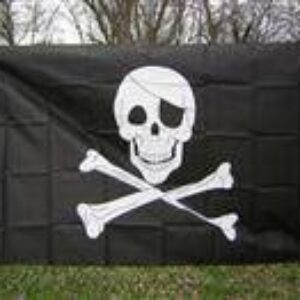 Pirate with Patch Flag  12 x18 inch with grommets Nylon Printed