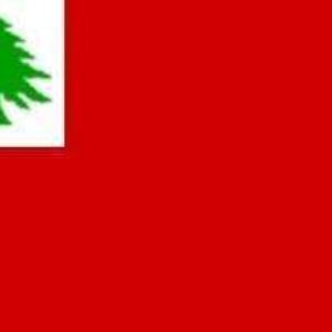 Lebanese flag featuring a green cedar tree on a red background, representing national pride. Buy affordable flags online to showcase your support for Lebanon. Find the best deals at UltimateFlags.com.