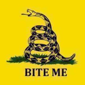 Gadsden Bite Me Flag 3 X 5 ft. Standard