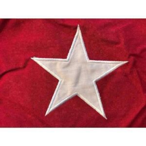 Confederate Army of Trans-Mississippi (Taylor’s Army) 4′ x 4′ Square Infantry Flag
