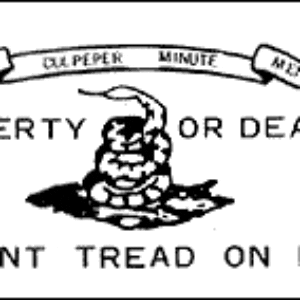 Culpeper Flag Don’t Tread on Me, White Minutemen Flags 2 X 3 or 3×5 ft