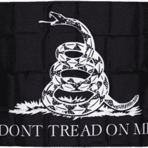 Gadsden Dont Tread on Me Black Flag 3 X 5 ft. Nylon Double Sided