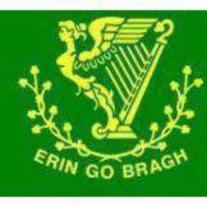 Irish Erin Go Bragh Flag, Irish Harp Flag 3 X 5 ft. Standard