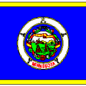 State of Minnesota Flag 3 X 5 ft. Standard