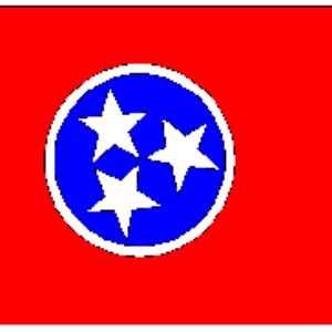 TN Flags / State of Tennessee Flag 3 X 5 ft. Standard