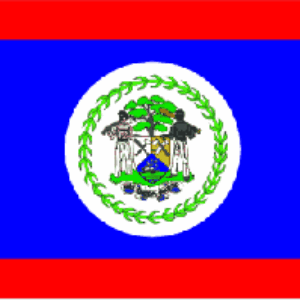 Belize Flag 2 X 3 ft. Junior