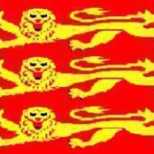 Bright red flag featuring three stylized yellow lions, symbolizing strength and heritage. Perfect for those looking to buy online affordable and best-quality flags. Discover cheap options at UltimateFlags.com.