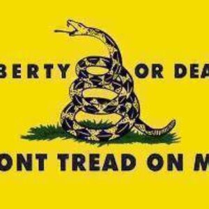 Liberty or Death Gold Tactical Flag – Culpeper Flag Yellow 3 X 5 ft. Standard