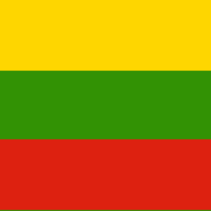 Lithuania Flag 3 X 5 ft. Standard