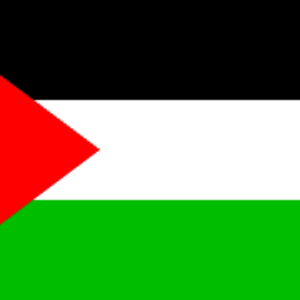 Palestine Flag 3 X 5 ft. Standard