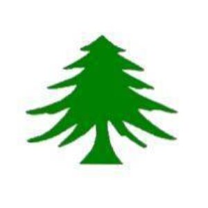 Green tree emblem representing the Lebanese flag, ideal for those seeking affordable and cheap flags. Buy online for the best selection at UltimateFlags.com.
