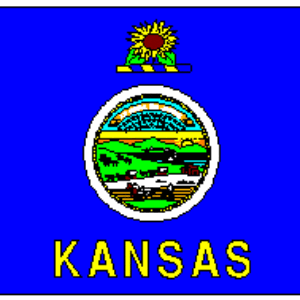 Kansas state flag featuring vibrant blue background, sunflowers, and state seal. Perfect for collectors and patriots looking for cheap, affordable options. Buy online now for the best selection at UltimateFlags.com.