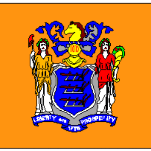State of New Jersey Flag 3 X 5 ft. Standard