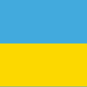 ukraine flag for sale 4 x 6 inch hand flags