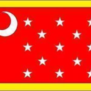 Red flag with a crescent moon and stars, showcasing a vibrant design ideal for events or decoration. Buy this affordable flag online for the best prices at UltimateFlags.com.