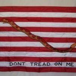 First Navy Jack Flag 1st Naval Jack DONT TREAD ON ME Flags Sewn Nylon Embroidered 2×3, 3 x 5, or 4×6 ft.
