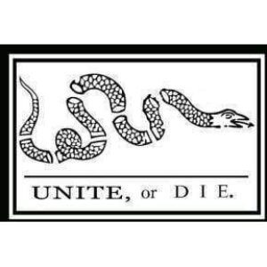 Historical "Join, or Die" flag featuring a segmented snake design, symbolizing unity among the colonies. Perfect for collectors and patriots looking for affordable and meaningful decor. Buy online for the best deals at UltimateFlags.com.