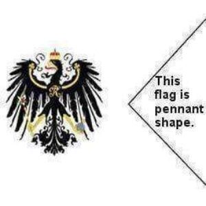 Pennant-shaped flag featuring a detailed black eagle design, ideal for collectors and enthusiasts. Buy online for cheap and affordable prices at UltimateFlags.com. Best selection of flags available.