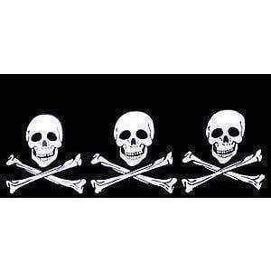 3 Skulls Jolly Roger Pirate Flag 2 X 3 ft. Junior