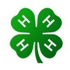 Green four-leaf clover symbol representing luck and prosperity, ideal for those looking to buy affordable and cheap decorative items. Best options available to buy online for celebrations or events. Visit UltimateFlags.com for more details.