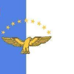 Colorful flag featuring a golden eagle and stars, representing freedom and unity. Ideal for those seeking cheap and affordable flags to buy online. Discover the best selection at UltimateFlags.com.