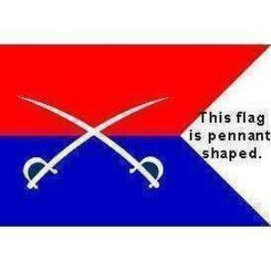 Pennant-shaped flag featuring a bold red and blue design with crossed swords, perfect for displaying your unique style. Buy online for cheap and affordable options. Discover the best selection at UltimateFlags.com.