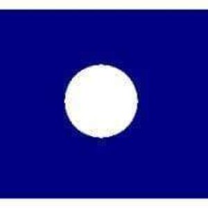 Blue flag with a white circle, representing simplicity and elegance. Buy this affordable flag online for the best deals at UltimateFlags.com.