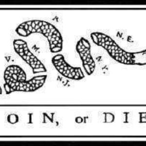 A historic depiction of the "Join, or Die" flag featuring a segmented snake, symbolizing unity among the American colonies. This design represents patriotism and is perfect for collectors. Find this affordable and best-quality flag to buy online at UltimateFlags.com.