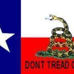 Texas Gadsden Flag – Don’t Tread on Me 3 X 5 ft. Standard