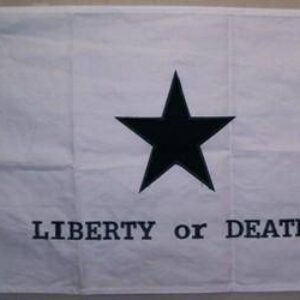 Flag featuring the phrase "LIBERTY or DEATH" with a bold black star design, perfect for patriotic displays. This affordable and stylish flag is among the best options to buy online for those looking to showcase their values. Find this and more at UltimateFlags.com.