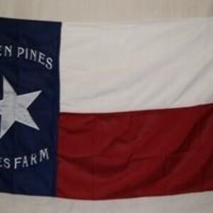 Texas flag featuring a blue field with a white star and red and white stripes. Perfect for showcasing your Texan pride, this flag is cheap and affordable, making it the best option to buy online. Visit UltimateFlags.com for great deals!