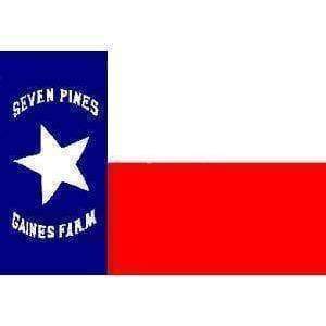 Texas Hoods Brigade (Seven Pines) Flag 3 X 5 ft. Standard
